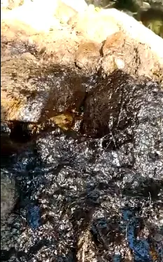 Reporta Genoveva Huerta fuga de hidrocarburos en Venustiano Carranza