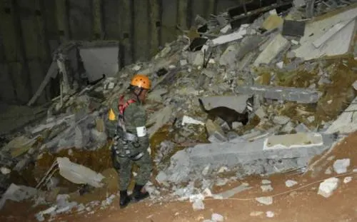 Binomio canino ubica a desaparecida entre escombros en derrumbe de Monterrey