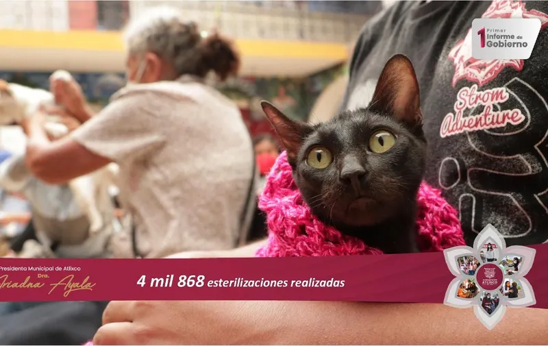 Primer informe de labores de Atlixco