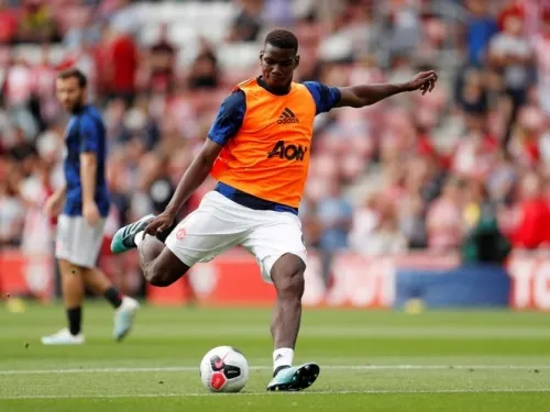 Pogba compra un Rottweiler por 17 mil dólares