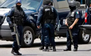 Federales capturan a 8 ligados con pornografía infantil