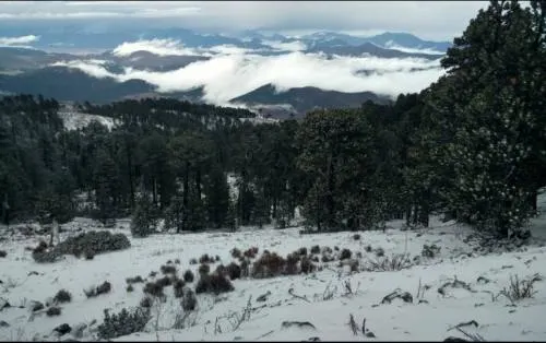 Ante la llega de la Primavera, nieva al sur de Nuevo León