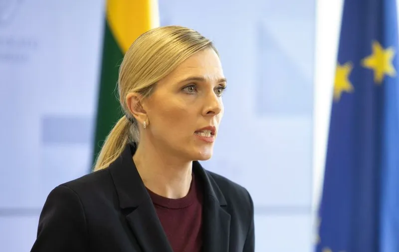 Ministra de interior de Lituania