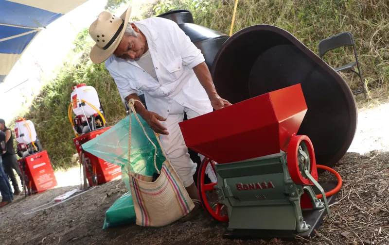 Imagen del artículo