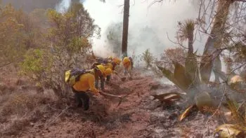 Muere voluntario durante labores en incendio forestal de Ixtacamaxtitlán