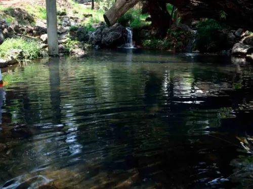 Temen por agua envenenada en manantiales de Edomex