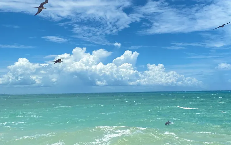 playa-miramar-tamaulipas