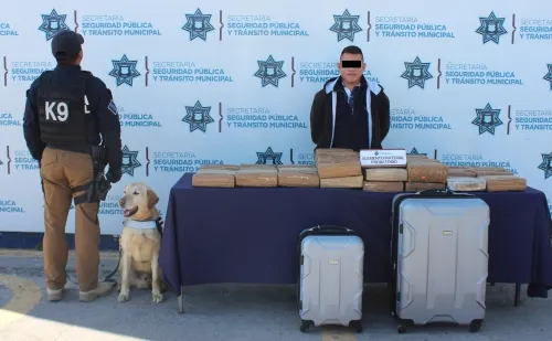 Aseguró SSC de Puebla cerca de 60 kilogramos de posible marihuana