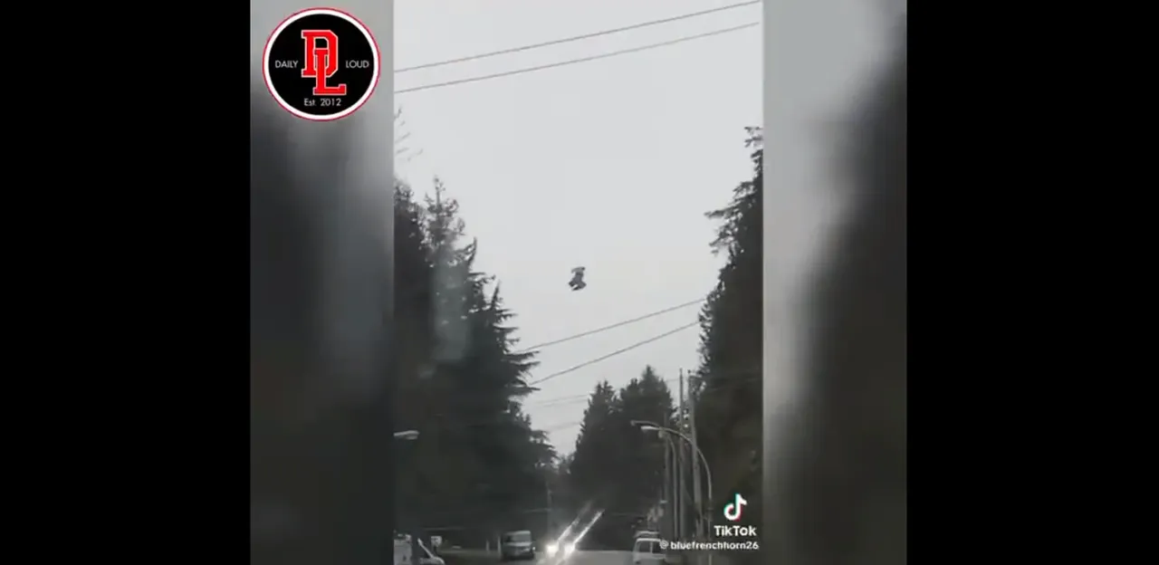 Pájaro en el aire
