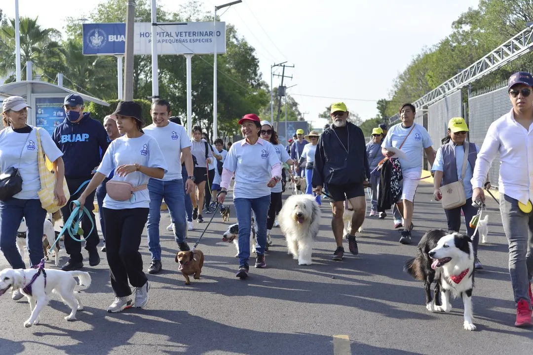 Buap Coeto Aniversario