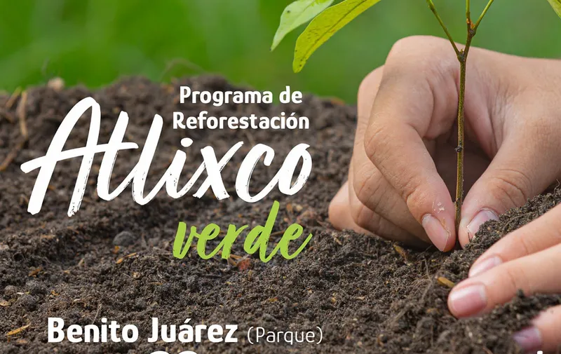 atlixco-verde