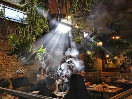 EU busca despenalizar la mariguana a nivel federal