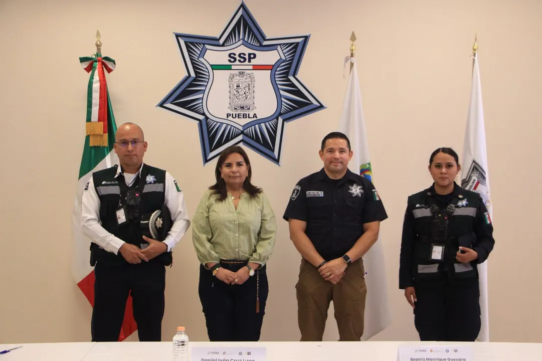Verificación Vehicular