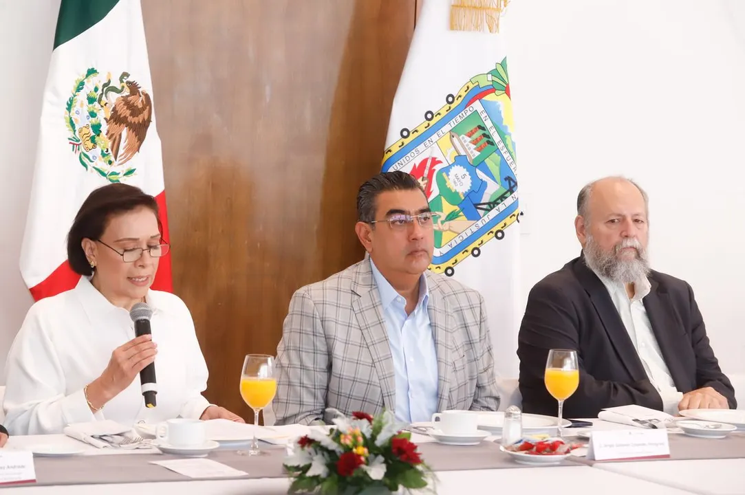 Gob Pue Sergio Salomon Cespedes Fstse