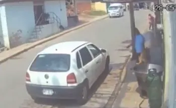 Familiares de Scooby, perrito que murió en aceite hirviendo, piden prisión para Sergio N. 