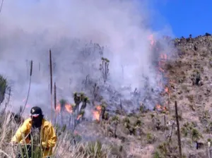 Exhorta gobierno evitar uso del fuego en actividades agropecuarias