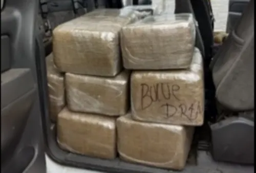 Aseguran 140 kilos de marihuana en la colonia Azteca