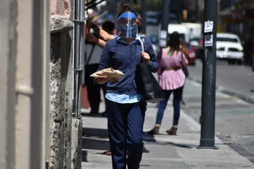 En pandemia, Puebla pierde 249 patrones