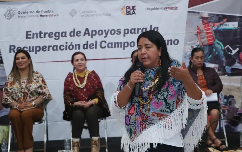 Imagen del artículo