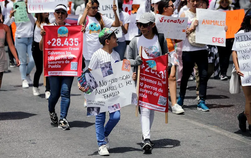 marcha-contra-el-maltrato-animal-puebla