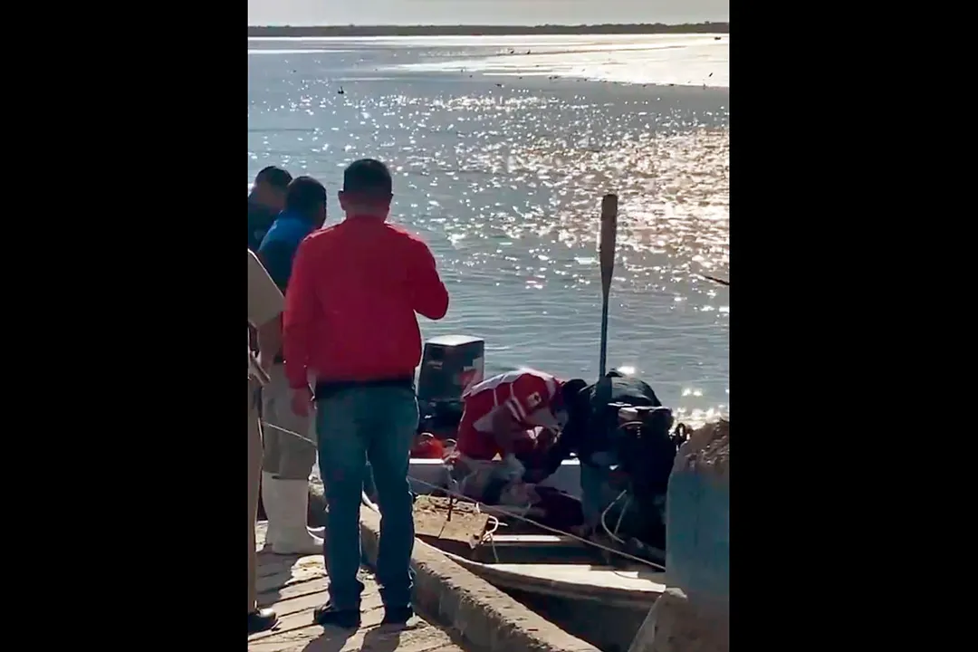 Ataque Tiburon Huatabampo Sonora