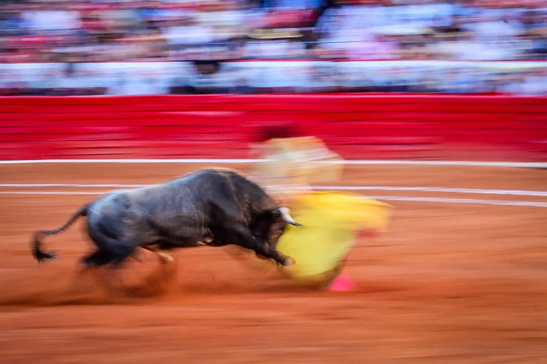 corridas de toros