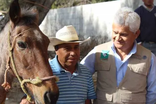 Sagarpa apoya a productores ubicados en terrenos accidentados