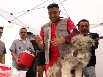 Vacunar a nuestras mascotas es un acto de amor: Ariadna Ayala