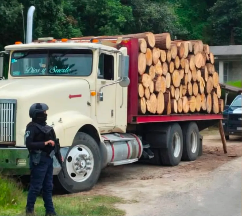 ssp-pue-detenidos-tala-ilegal-tlatlauquitepec