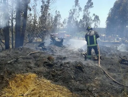 Sin registro de nuevos incendios forestales en las últimas horas: PC estatal