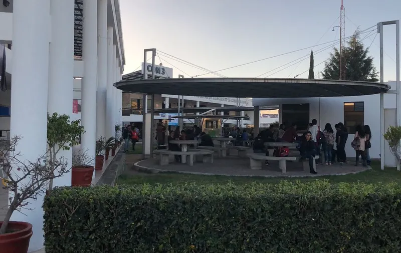 Imagen del artículo