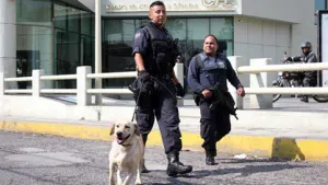 En 70 días de operación del K9 van 216 operativos