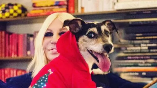 Versace ya no usará piel de animales en sus colecciones