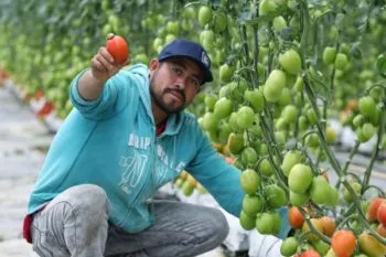 Invierte Gobierno de Puebla 121 millones en centros agroindustriales para transformar el campo