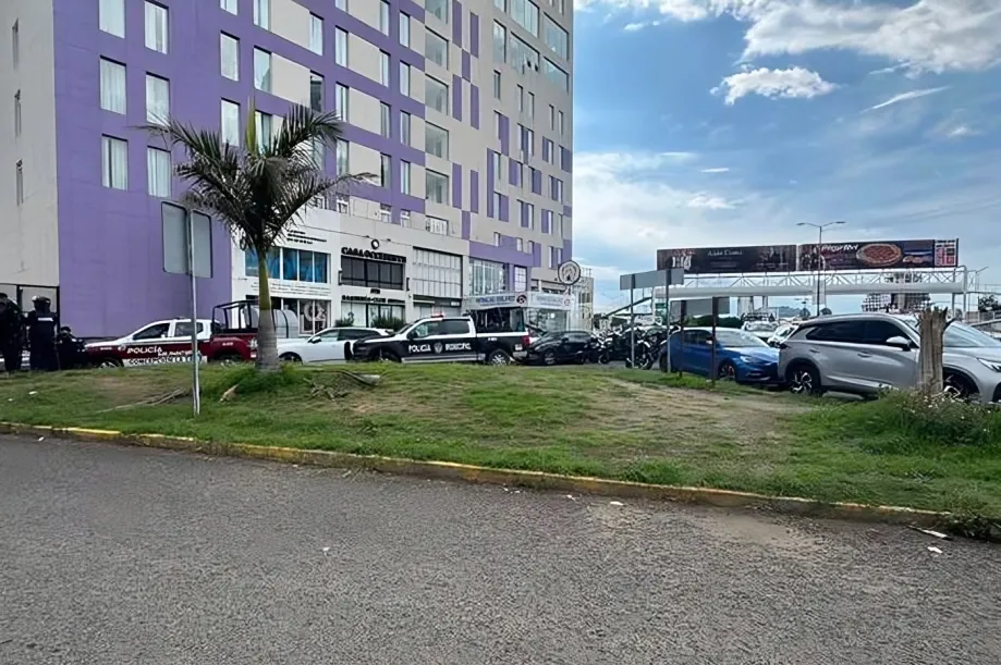 Palmas Plaza Inmediaciones