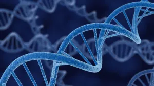 Rusos diseñan técnica para establecer origen a partir de ADN