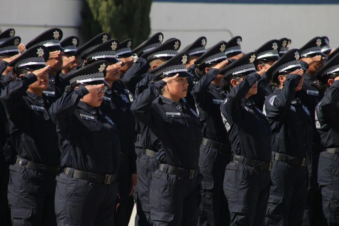 Academia de Formación y Profesionalización Policial