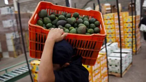 EU retiraría del TLCAN 2.0 propuesta de estacionalidad para productos agrícolas: CNA