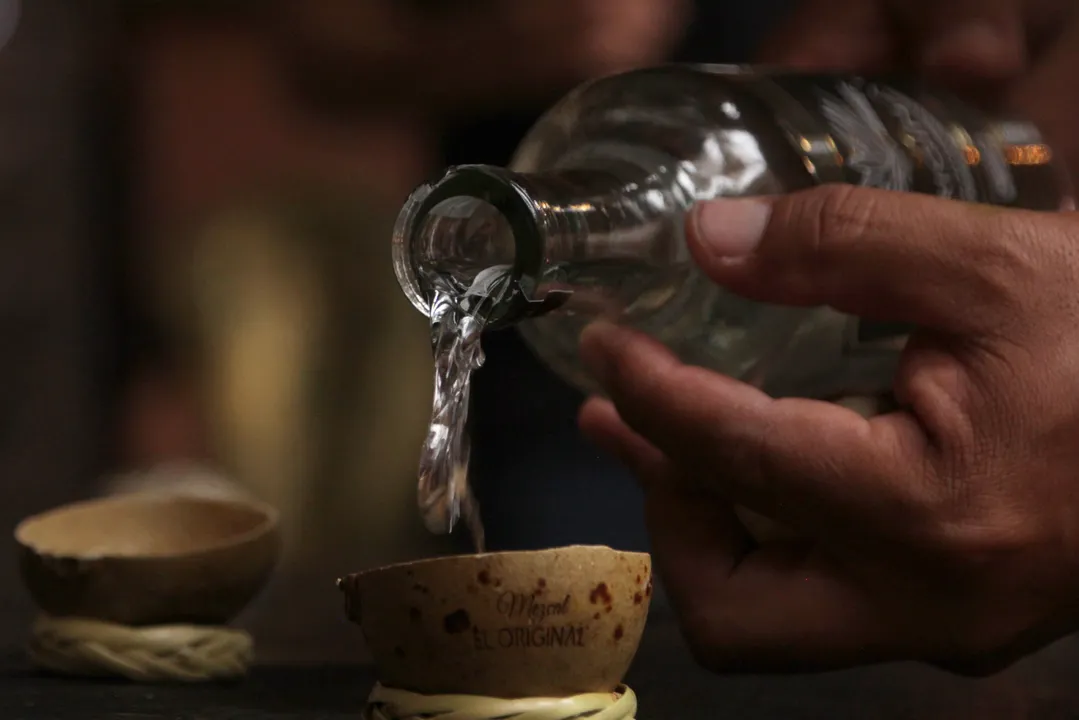 Con 63 expositores y una destilación en vivo, se celebrará Feria del Mezcal en Puebla 