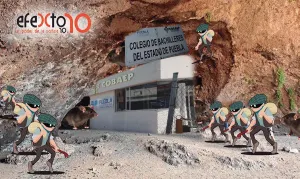 El Colegio de Bachilleres, una orgía