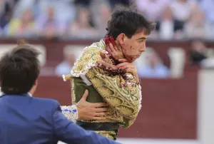 Torero recibe estocada en pleno cuello en Las Ventas