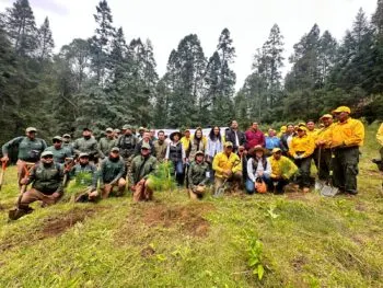 Con 94 mil plantas, Secretaría de Medio Ambiente de Puebla refuerza restauración del Atoyac