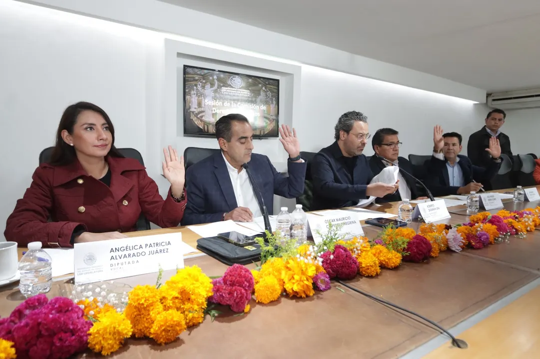 Comisión de Derechos Humanos