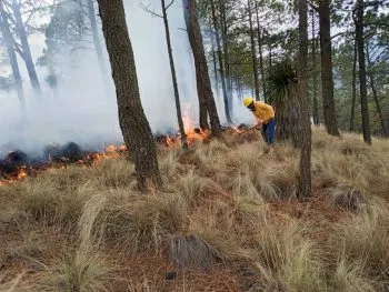 En Puebla, se registran seis incendios forestales activos: SEGOB