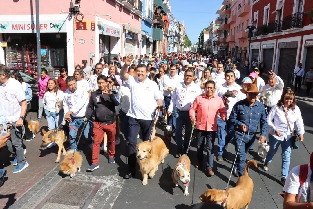 Alejandro Armenta Puebla