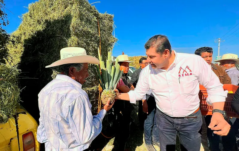 alejandro-armenta-tepexi-plantas-maguey