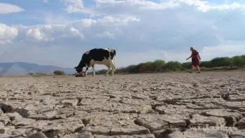 Emergencia por sequía en México, declara la Conagua