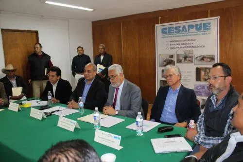 Puebla tiene potencial en el Desarrollo Integral de la apicultura y pesca: Sagarpa