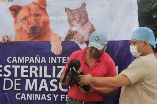 Ayuntamiento realizó jornada de esterilización y vacunación