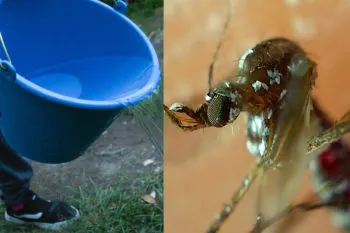 En lo que va del año, suman 2 mil 108 casos de dengue en Puebla